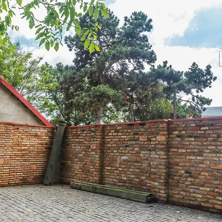 Отель Boutique P 4*