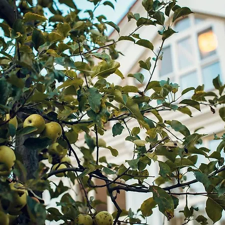 Hotel Boutique P Uzhhorod