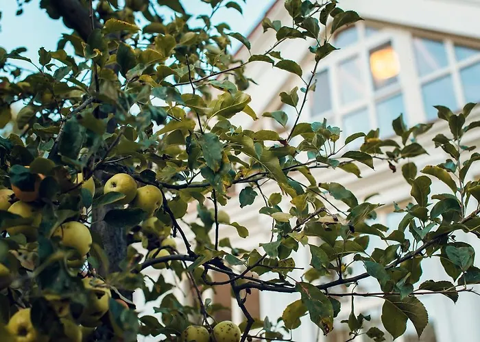 Otel Boutique P Ujgorod