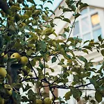 Hotel Boutique P Oujhorod